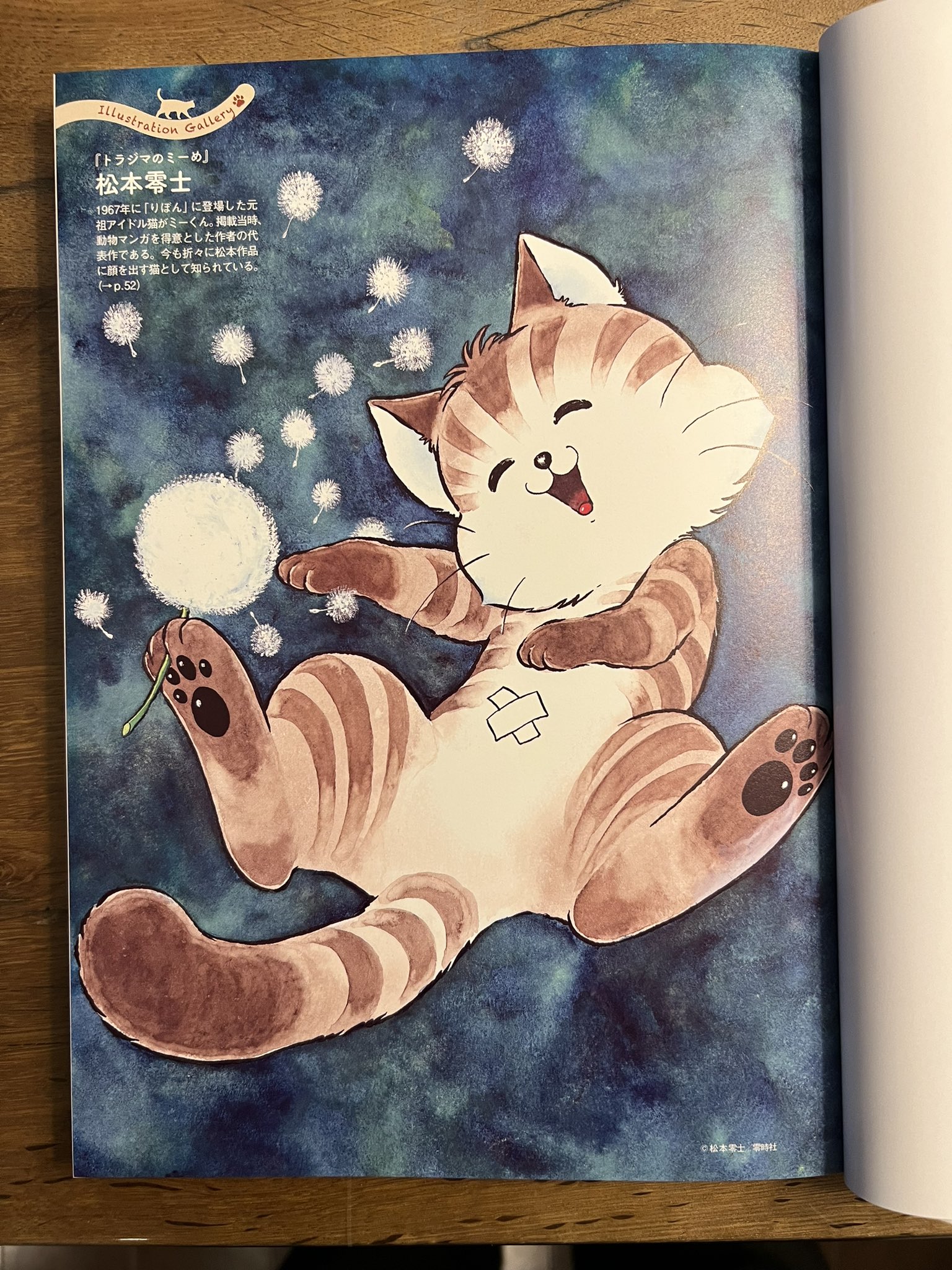 きたがわ翔 on X: 