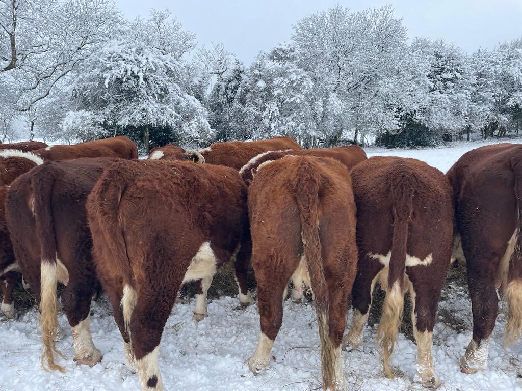 Cathy Boyd tweet media