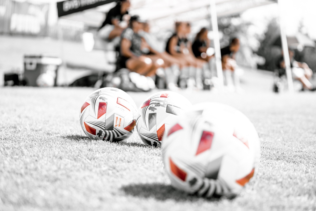 BVB NTX Girls Academy tweet media