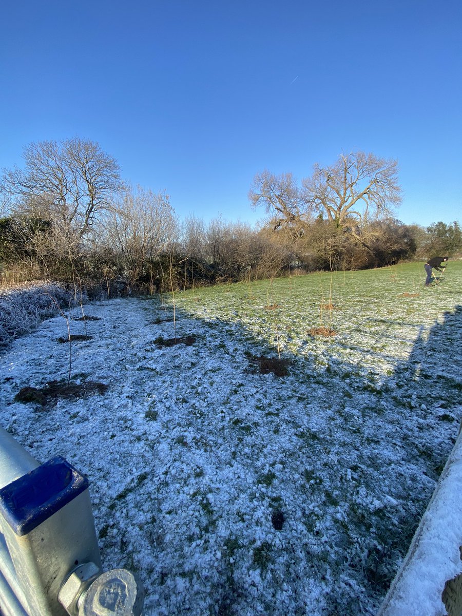 Celtic Financial Planning Ltd (@celtic_fp) on Twitter photo Today the team planted 350 British Trees, it was a frosty one but it was great to be out in nature. The work was part of an ongoing project with <a href="/North_Wales_WT/">North Wales Wildlife Trust</a>, which we’ve also helped fund. As many will know, we plant a tree for every new ongoing pension / investment client. 🌳 Today the team planted 350 British Trees, it was a frosty one but it was great to be out in nature. The work was part of an ongoing project with <a href="/North_Wales_WT/">North Wales Wildlife Trust</a>, which we’ve also helped fund. As many will know, we plant a tree for every new ongoing pension / investment client. 🌳