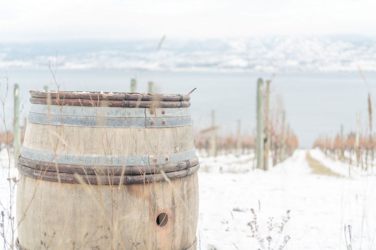 Warm up to winter with us by experiencing CedarCreek through themed Winemaker dinners at Home Block Restaurant or through cozy, fireside tastings paired with a stunning view of the Okanagan Lake. 

We are here to welcome you as our own, and share our stories with you this season.