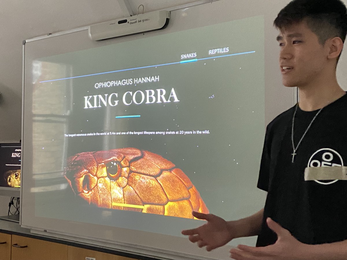 A level student, Daryle, explains during Science Club why he loves the King Cobra so much, venom and all! Rather you than many of us Daryle! #KingCobra #SnakeBite