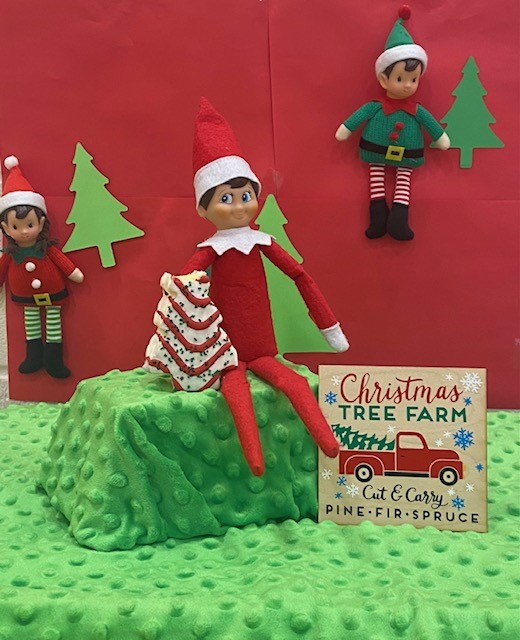 CoachGPercle's tweet photo. Jim is working at the tree farm as Jingle &amp; Jangle pick out their trees. @SemElementary @pta_sem https://t.co/R3TV3wQn2E