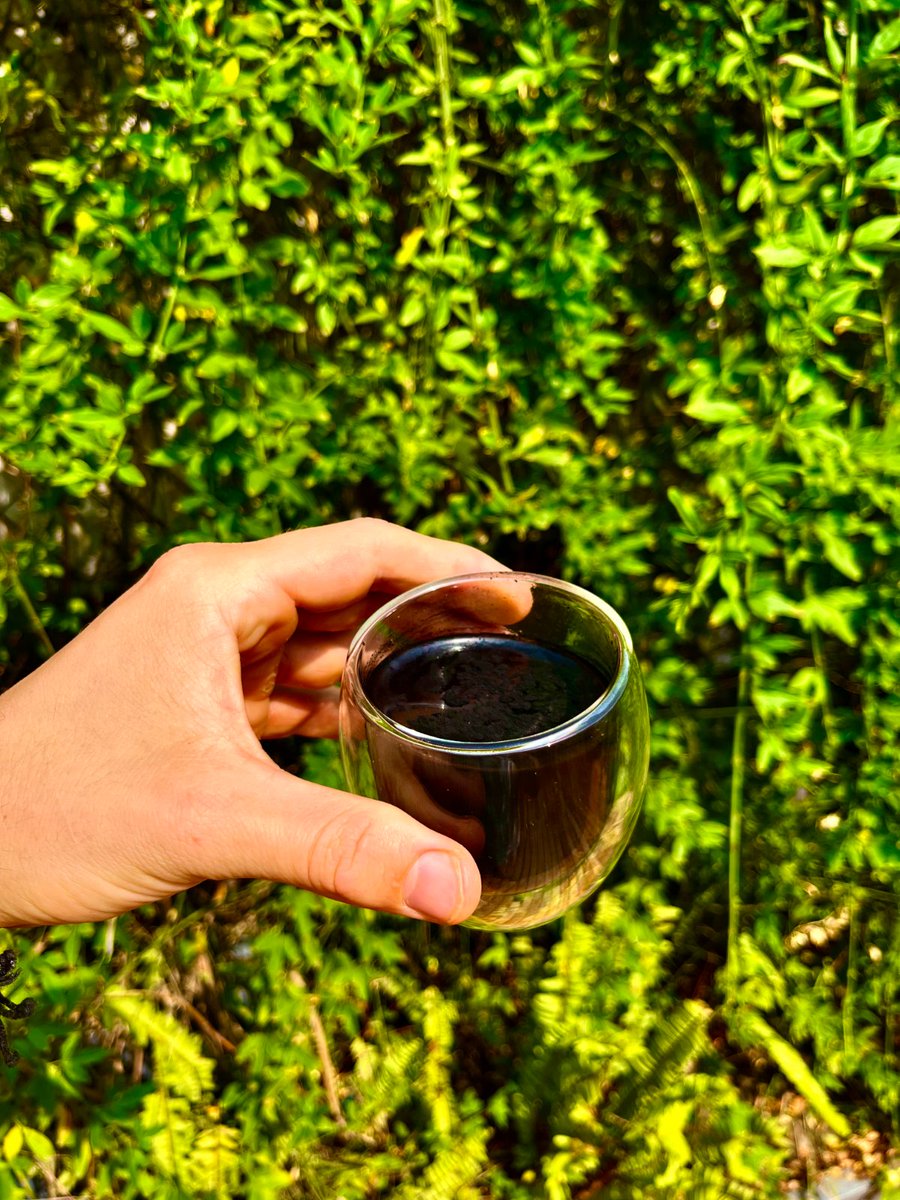 Activated Charcoal is legendary

Why I keep this ancient poison antidote with me at all times (and y...