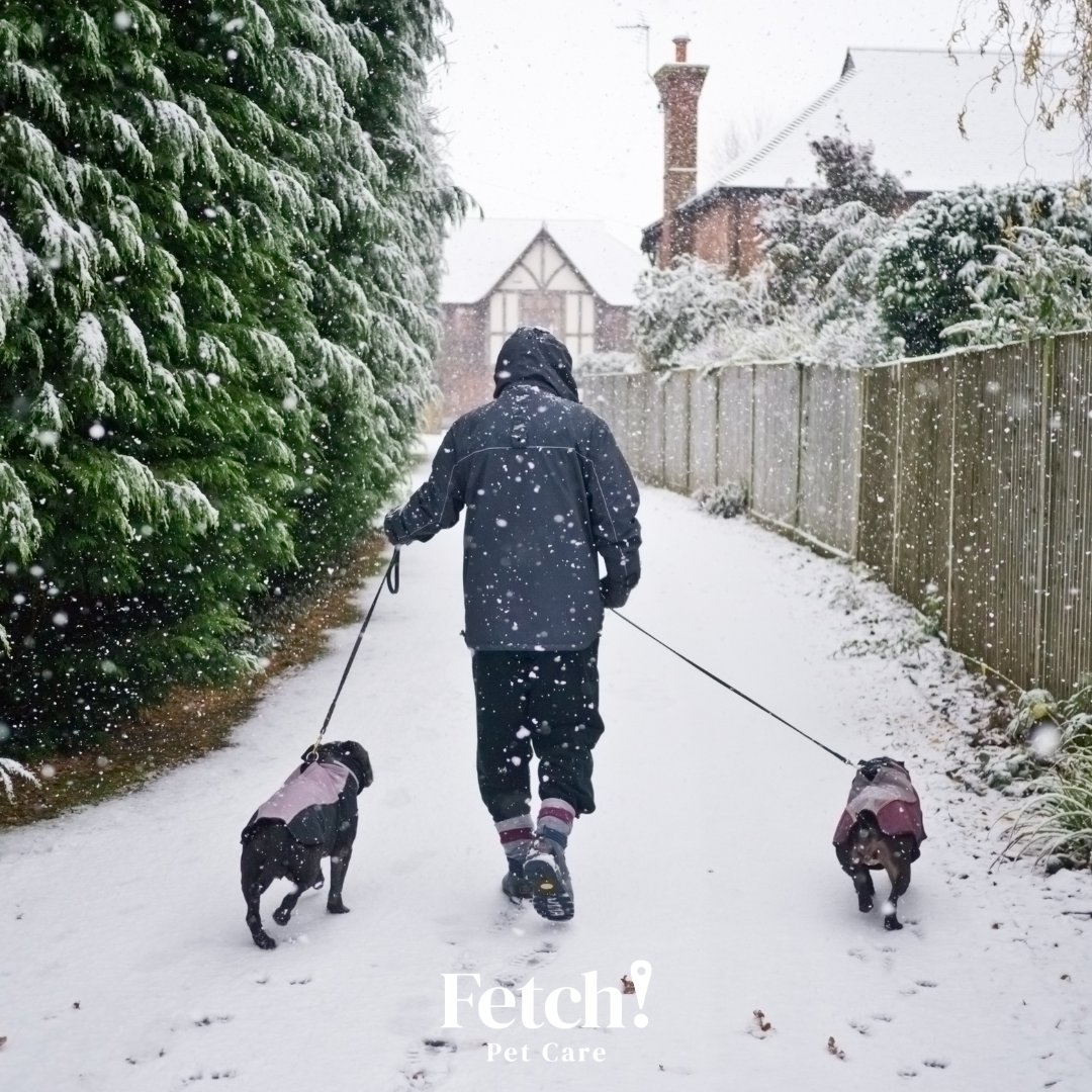 FetchPetCare's tweet photo. We're hiring some holiday help to care for our four-legged community members! Visit https://t.co/qGR1VXMVRQ to learn more.
#werehiring #petcareprofessionals #dogwalkers #petsitters #fetchpetcare #weloveemlikeyoudo #dedicated #insured #trusted #animallovers https://t.co/amfftUYXKv