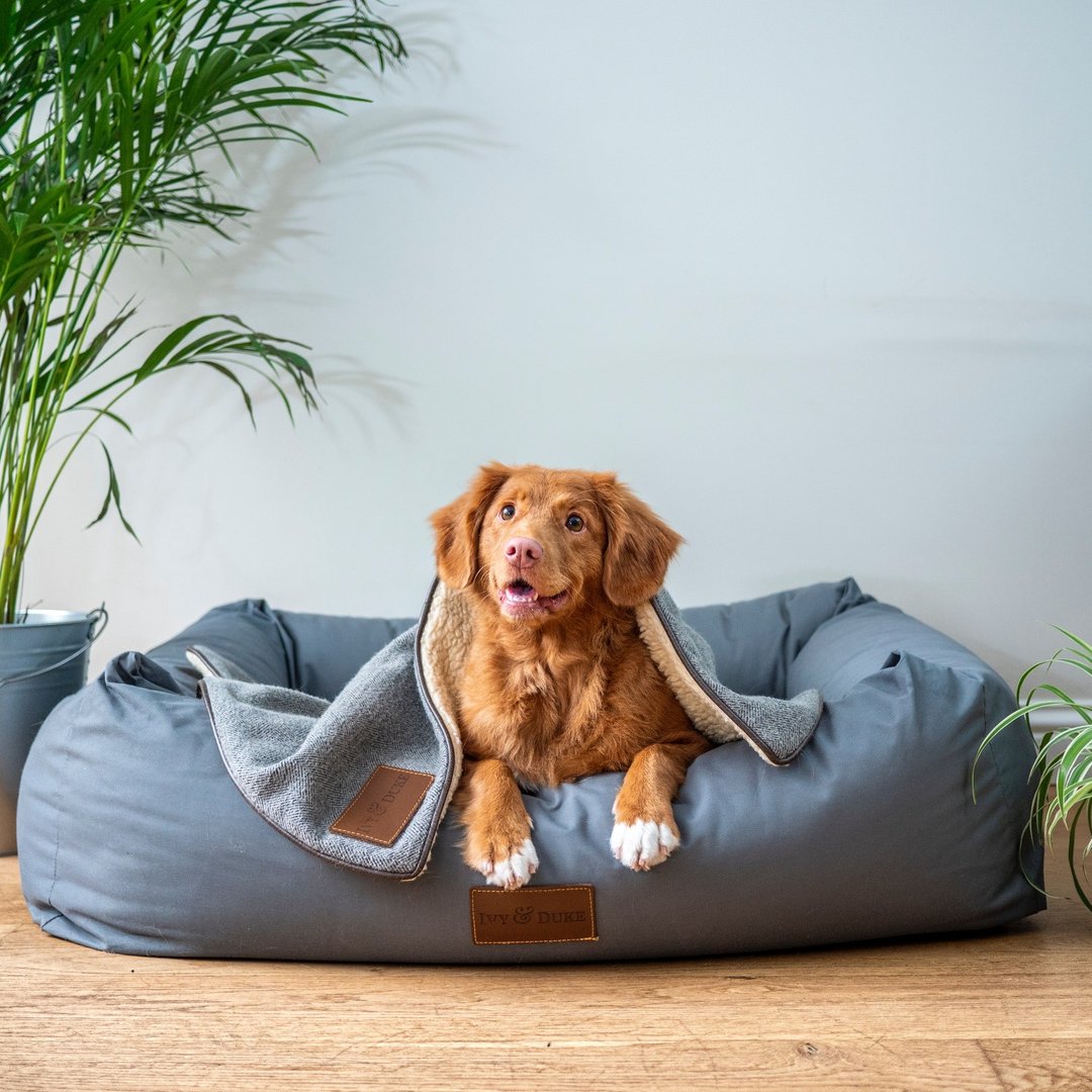 No crate? 

No problem! 

With the PlayTach Base, you can easily convert the PlayTach from a crate attachment to a standalone so you can place the PlayTach anywhere in your home.

#crate #petparent