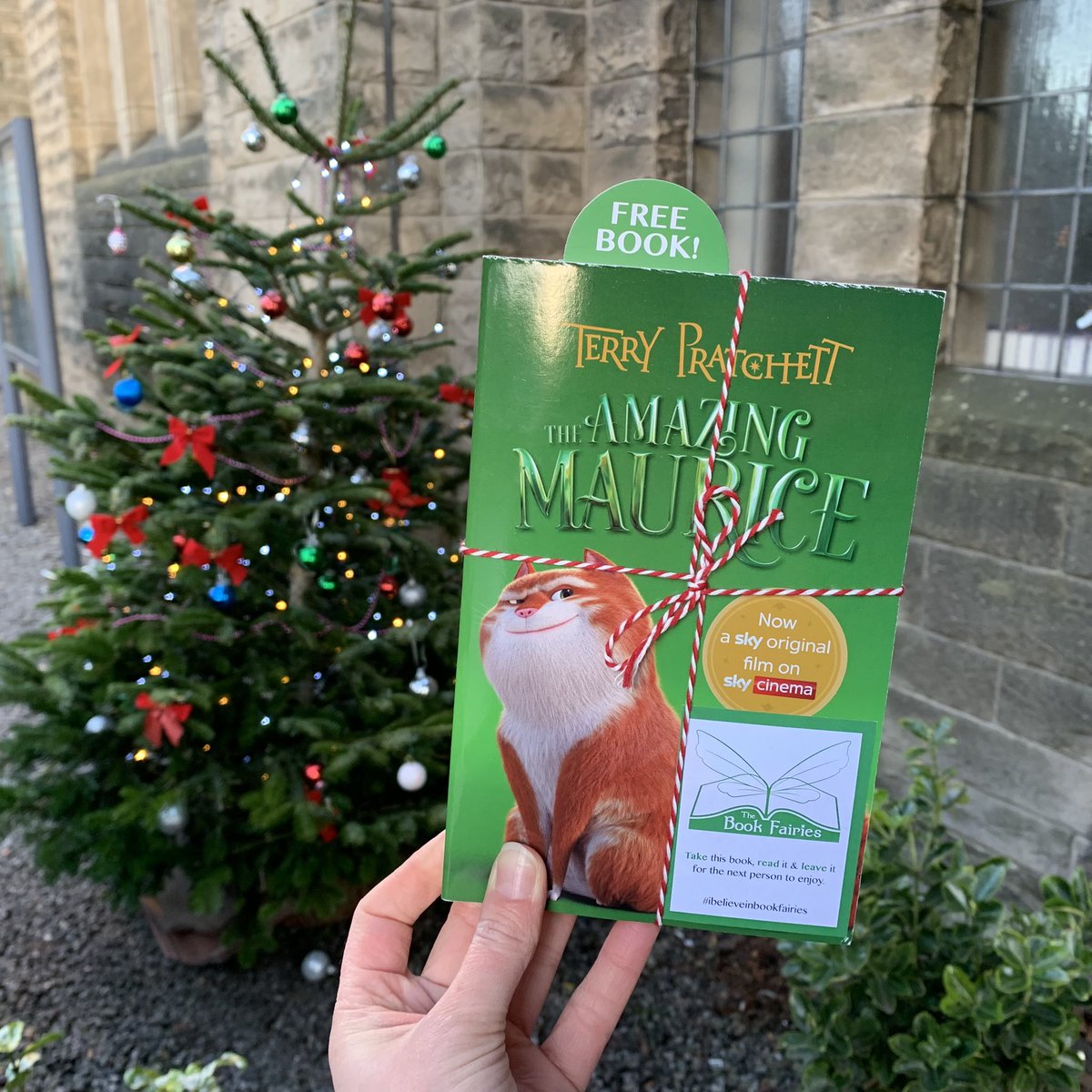 rglibrarylife's tweet photo. The Book Fairies are excited for the new film #TheAmazingMaurice, so we are sharing copies of the book! These have been left for lucky finders at Holy Corner today!
#ibelieveinbookfairies #MauriceBookFairies #SkyCinema #NewFilm #HolyCorner https://t.co/KG025QwttS