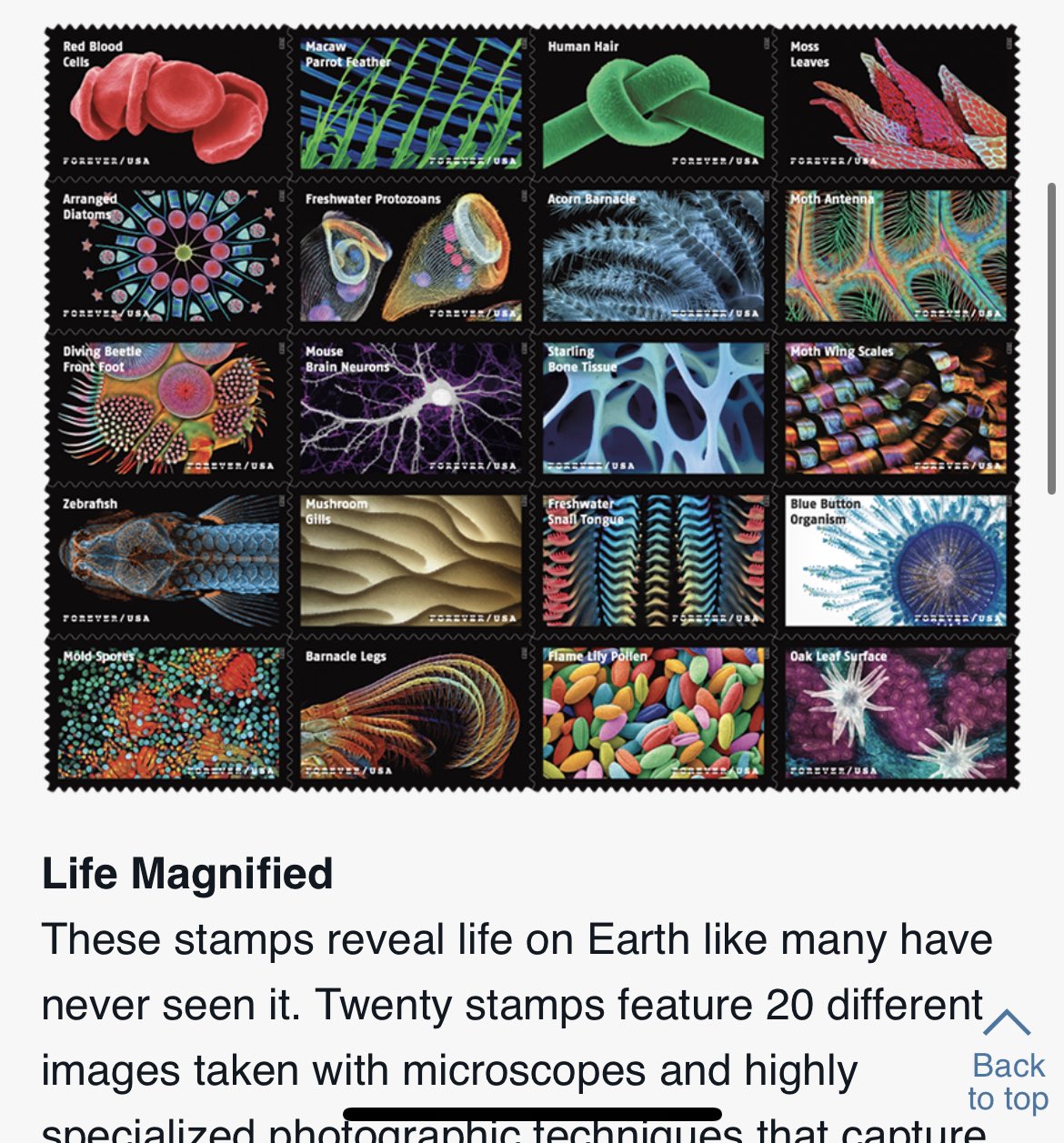 Postal Service Celebrates Wonders of the Microscopic World