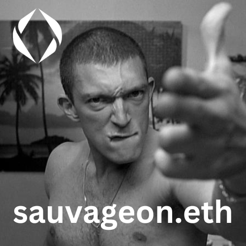 🛎️New mint ! 

sauvageon.eth 

#ENS #ensfrance #ensdomain 

🔗ens.vision/name/sauvageon