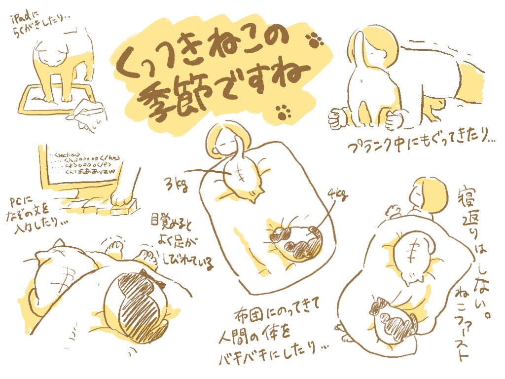 冬は猫が四六時中くっついてきて最高ですね。 