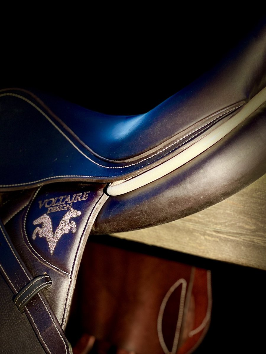 British Showjumping tweet media