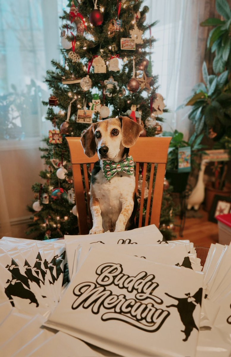 buddymercurydog's tweet image. 🎅 He&apos;s making a list. And checking it twice ... Santa Paws is coming to town! Buddy Mercury&apos;s 2023 calendar is shipping out this week! Are you on Buddy&apos;s list?

#calendar2023 #buddymercury #cutedogs #dogs #giftideas #rescue