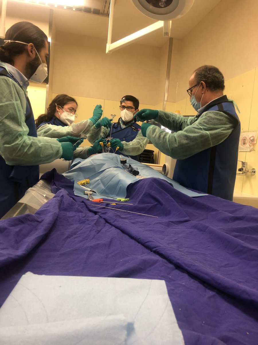 barkanimelilla's tweet photo. Muy interesante e intenso el curso con abordajes transpedicular y extrapedicular a la columna dorsal y lumbar. Seguimos trabajando https://t.co/B67bTv69za
