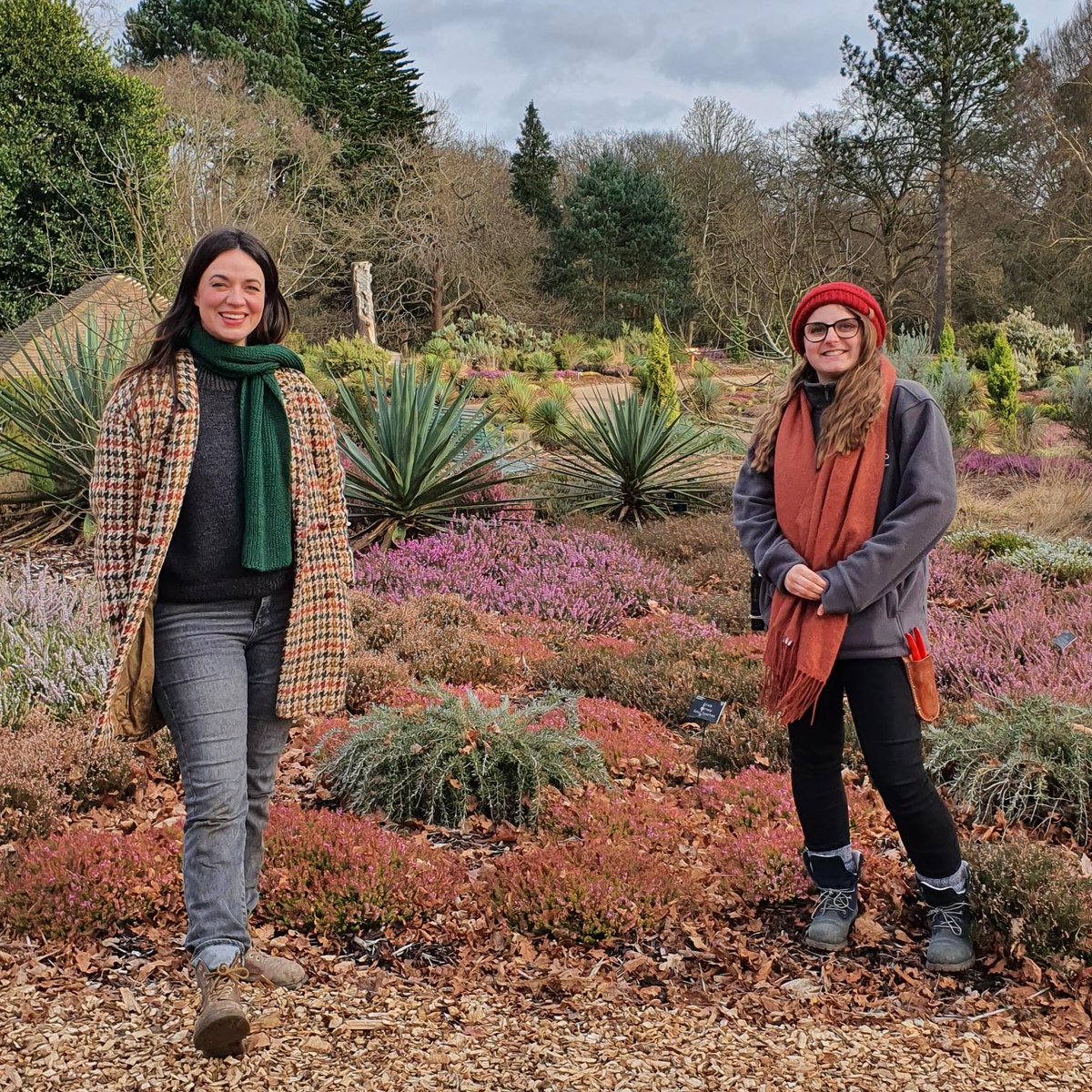 RHS Garden Wisley (@rhswisley) on Twitter photo Tune in to BBC Gardeners’ World this Friday at 8:30pm to see Frances Tophill celebrate the glory of winter heathers. Frances visited our Heather Landscape with RHS Horticulturist Natalie Plumbridge earlier this year.
<a href="/GWandShows/">BBC Gardeners World</a> #GardenersWorld Tune in to BBC Gardeners’ World this Friday at 8:30pm to see Frances Tophill celebrate the glory of winter heathers. Frances visited our Heather Landscape with RHS Horticulturist Natalie Plumbridge earlier this year.
<a href="/GWandShows/">BBC Gardeners World</a> #GardenersWorld