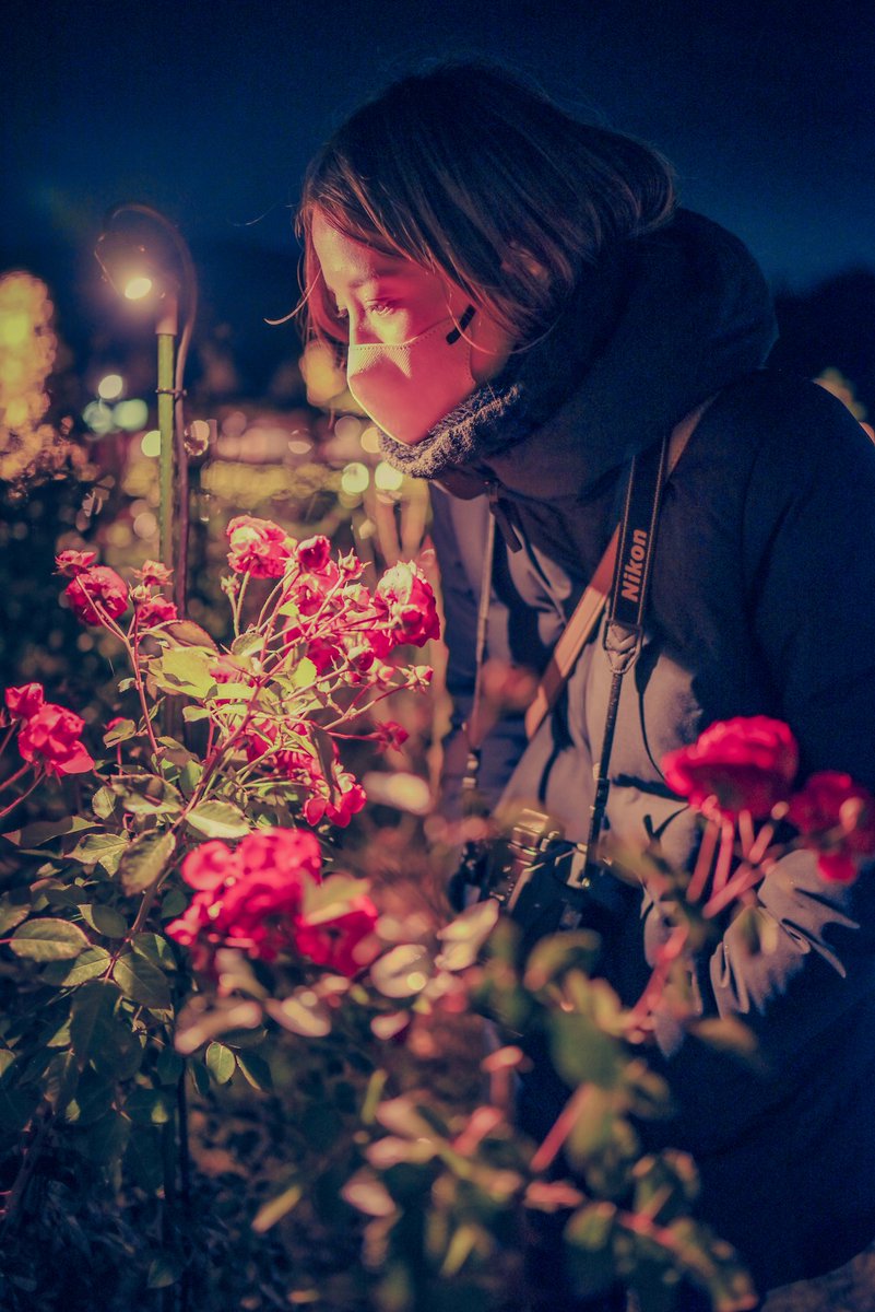 bluesunsetdark's tweet photo. #ポートレート始めました　#ポートレート初心者　#ポートレート練習中　#ポートレート　#ポトレ　#ポートレート撮影 #Portrait #art #イルミネーション　#Illumination　#いばらきフラワーパーク https://t.co/LjZHep1p18