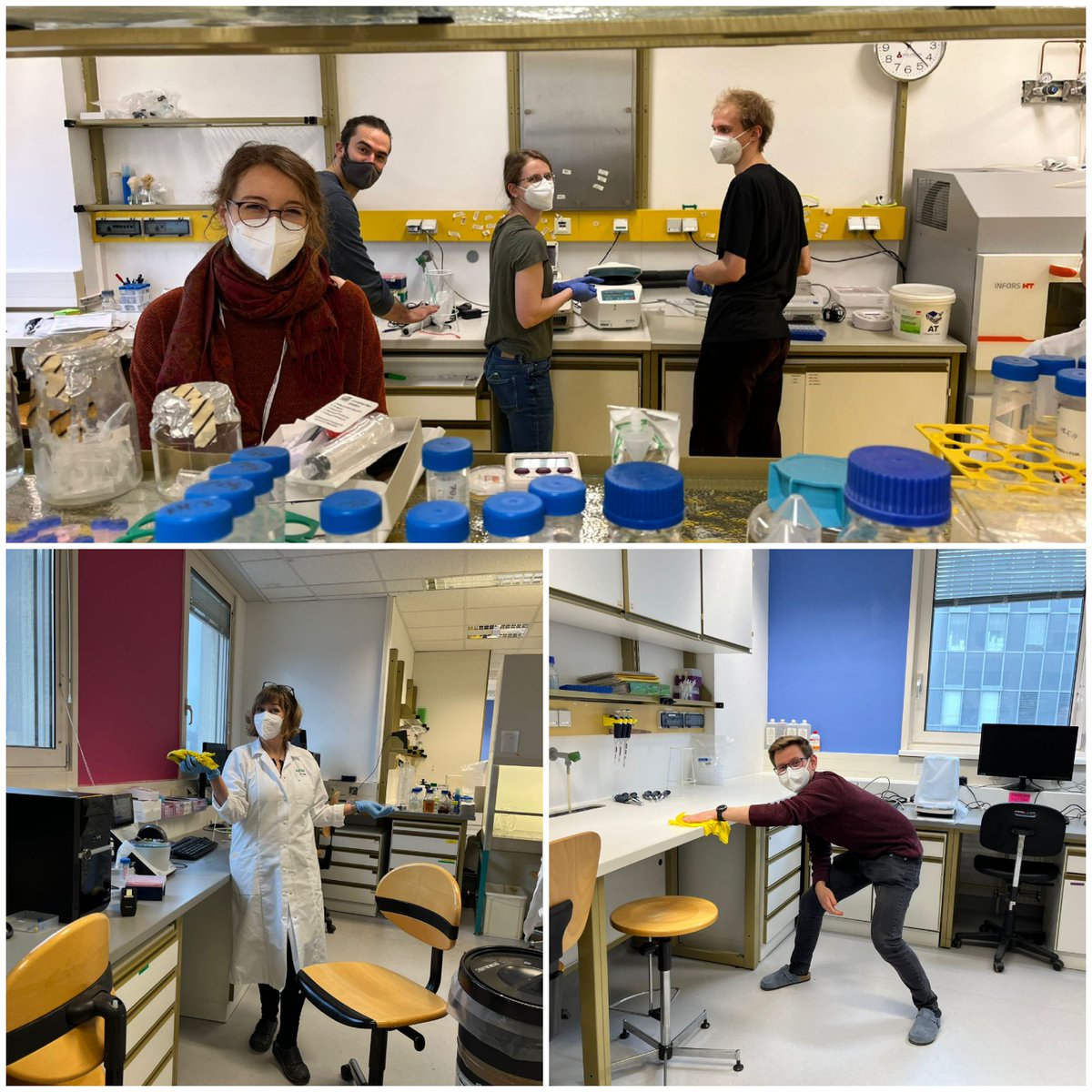 Sticking to traditions: Annual lab cleaning @BOKU_IMMB to the beat of all-time Christmas favourite songs...🎼🎄#MariahCarey