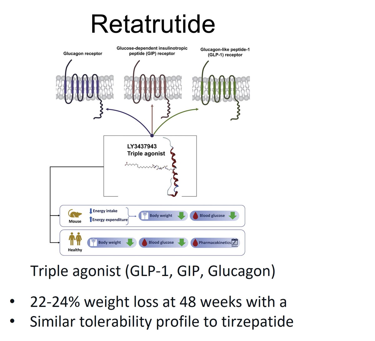 retatrutide headache Retatrutide Promises Big Weight Loss, but Safety Remains a Question