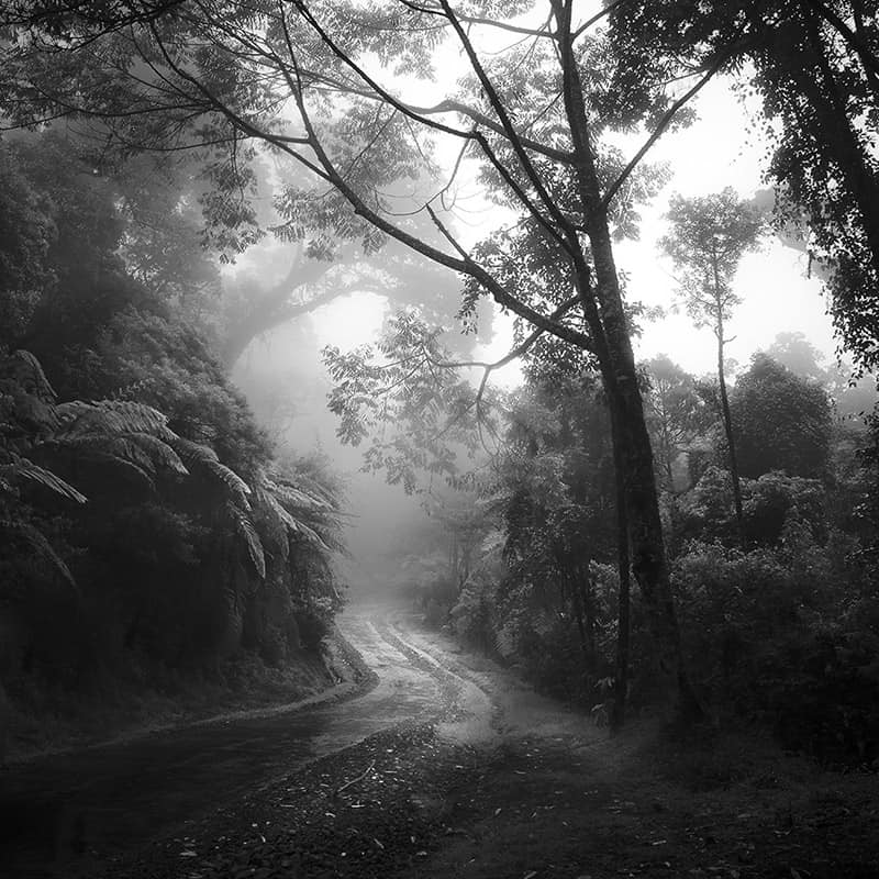 'Courage is found in unlikely places.' J. R. R. Tolkien 📷Hengki Koentjoro