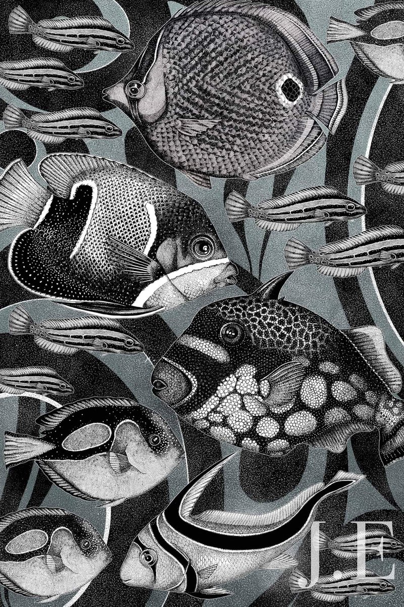 Fish and disruptive silhouette poster, including the foureye #butterflyfish, the majestic #angelfish, a clown #triggerfish, a palette #surgeonfish and the #jackknifefish. Patterns are used to distort silhouette and size. #ichthyology #marinebiology #sciart #scicomm #fishytheme