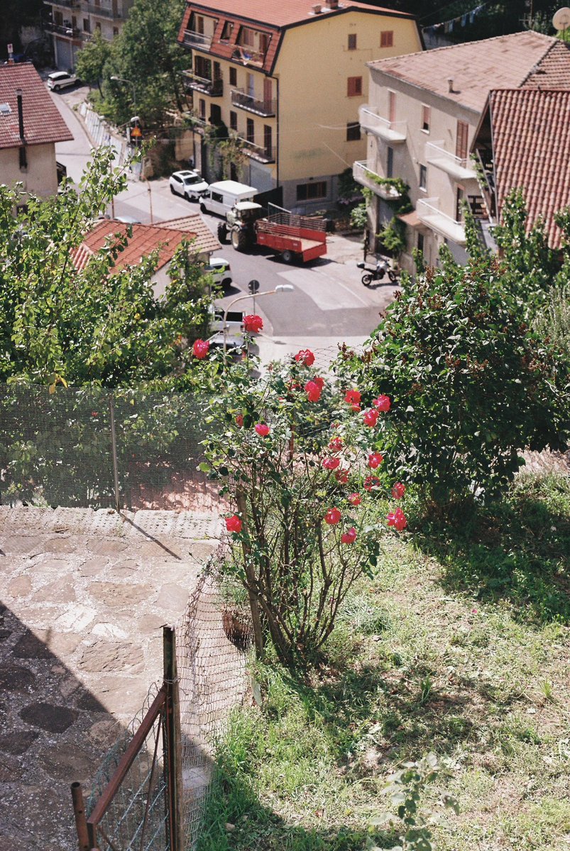 Italy on film
