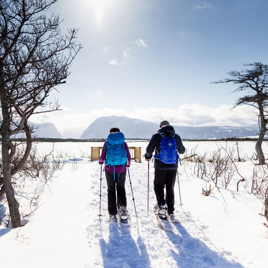 DeerLakeAirport's tweet photo. Summer in Gros Morne National Park is pretty spectacular. But winter has it's own magnificent beauty and a whole new set of adventures! ❄️

The park is under an hour from Deer Lake - we're your connection to winter adventure!

#grosmorne #exploreNL

📸 Dru Kennedy Photography https://t.co/3306ZXUqPP