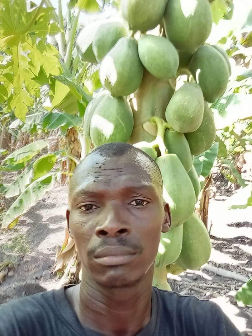 Remed_fey's tweet photo. Sitwayen sa se yon agwonòm , se nan nòdès peyi'a , li menm ki fè plantasyon sa . Èske'w konnen papay se yon fwi esansyèl pou sante'w ?

Se pa Kawotchou lap boule , se pa dechoukay lap fè...etc Nou pap pataje foto'a pou lòt Moun dekouvri sitwayen kap travay anndan Peyi a . https://t.co/3sdk6CMm1w