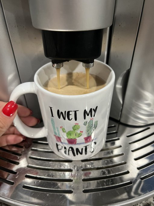 Goooood morning time to wake up &amp; slay the day!!! I start my day with @HighAFCoffee https://t.co/AY7KuCZPrn<a href="/tag/valentinesday"class="tags"><span>#valentinesday</span></a>