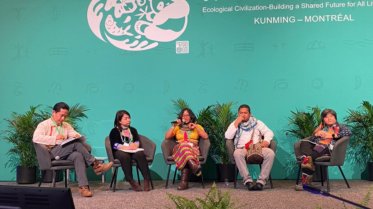“This mechanism isn’t really apt for #IndigenousPeoples fights and we want the recognition for what is already happening on indigenous lands; we don’t want to be assimilated as OECMs, we don’t need a new category.” - Nataly Domicó, @ICCAConsortium at #COP15 #Post2020