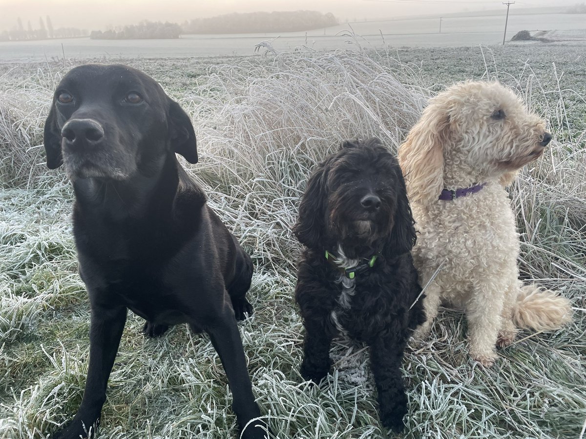 Frosty start to the day