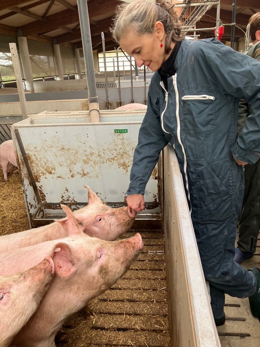 Merci <a href="/stferchaud/">Stéphane Ferchaud</a> pour la visite de ce bel élevage bio !

(j'avoue, j'avais un peu peur qu'ils me mordent les doigts...)