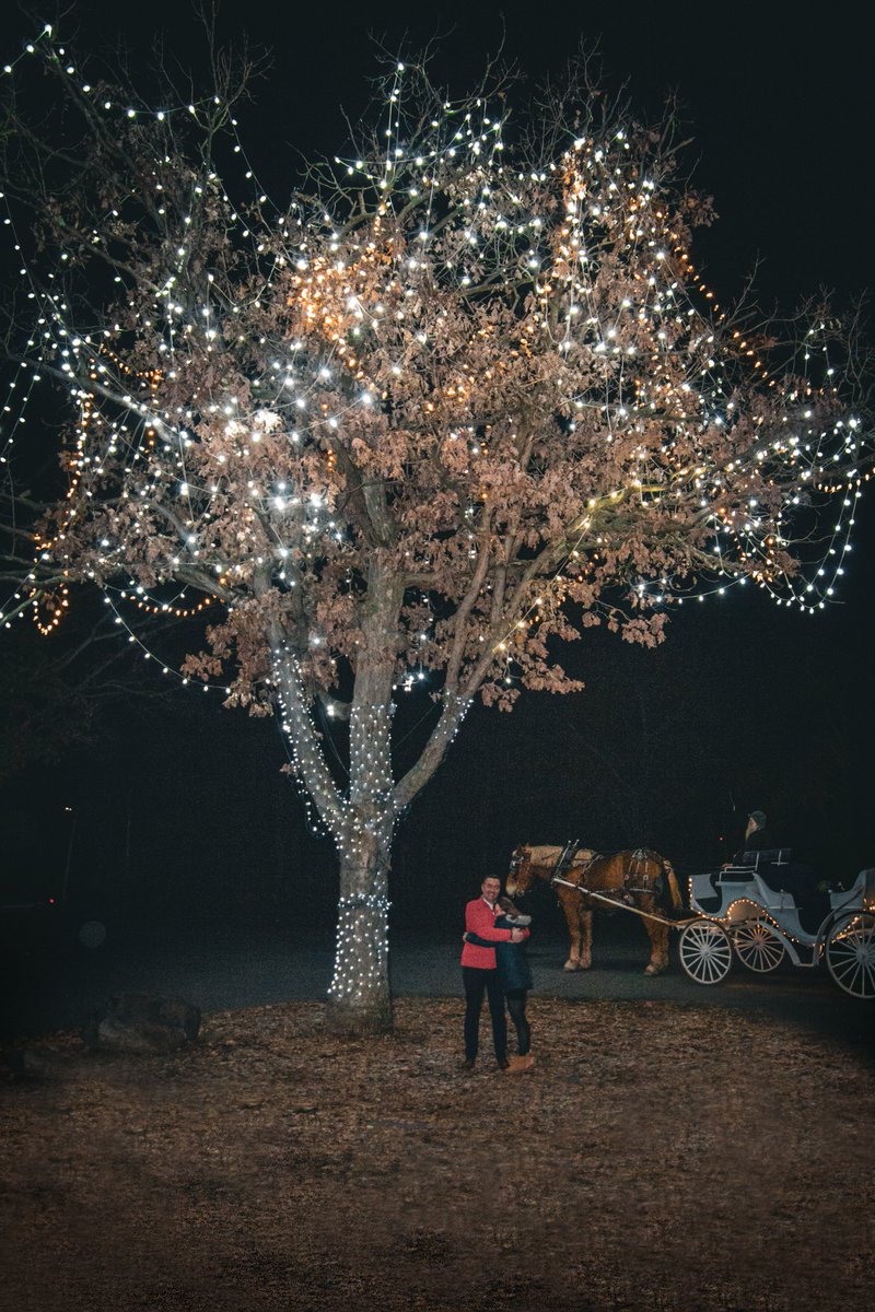 Josh Pardini tweet media