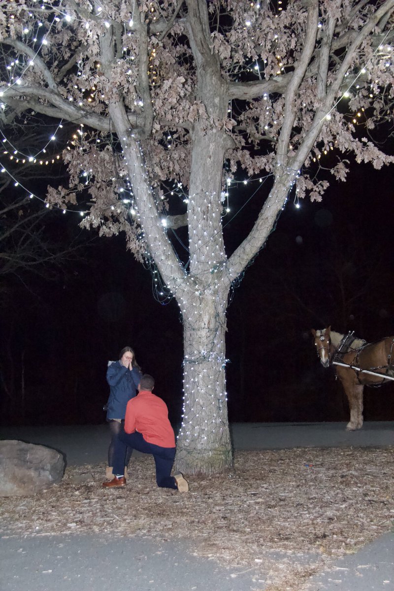 Josh Pardini tweet media