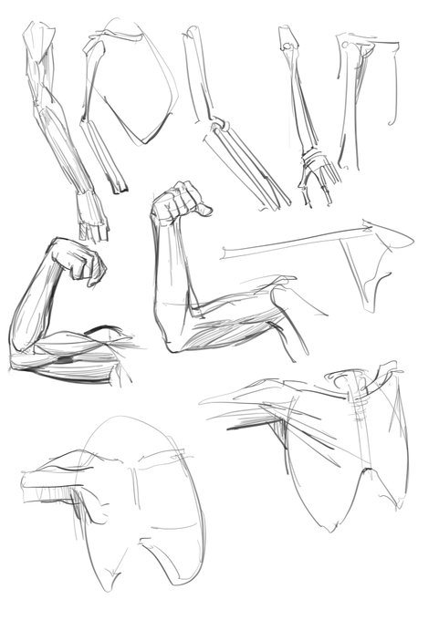 今日から上肢  

 #毎日れんしう 