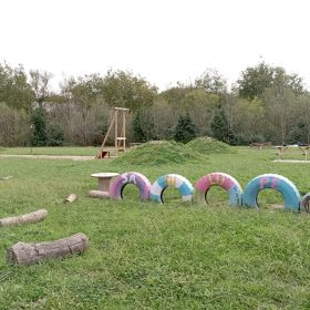 Zebrabidea tweet media