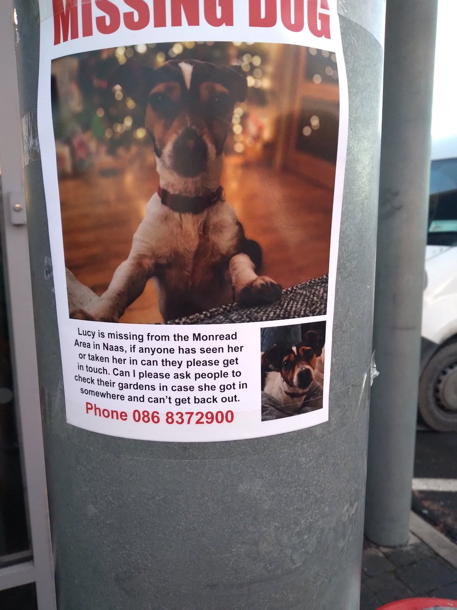 @edelx (@edeldempsey2) on Twitter photo <a href="/NaasBall/">The Naas Ball</a> met this guys owner this afternoon shes heartbroken please twitter share too <a href="/NaasBall/">The Naas Ball</a> met this guys owner this afternoon shes heartbroken please twitter share too