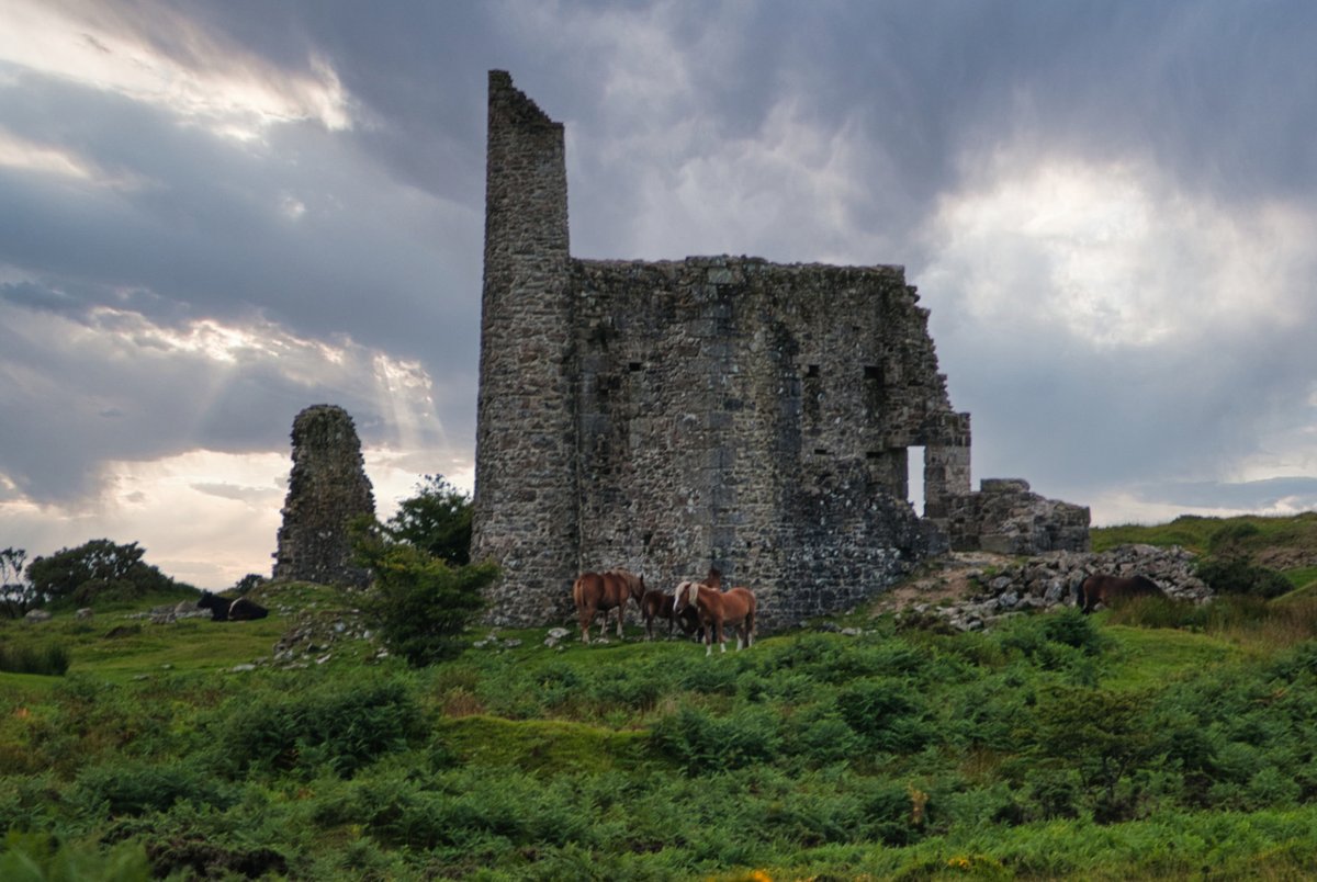paulmichael_uk's tweet photo. I've been browsing over the many shots I've taken of Bodmin Moor engine houses over the years. This is a small selection featuring South Phoenix and Phoenix United mines.
.
.
#Minions #MineWorkings #Mines #TinMining #TinMine #CornishMining #BodminMoor #Hiking #PaulMichaelPhoto https://t.co/Ewy5NkPycr