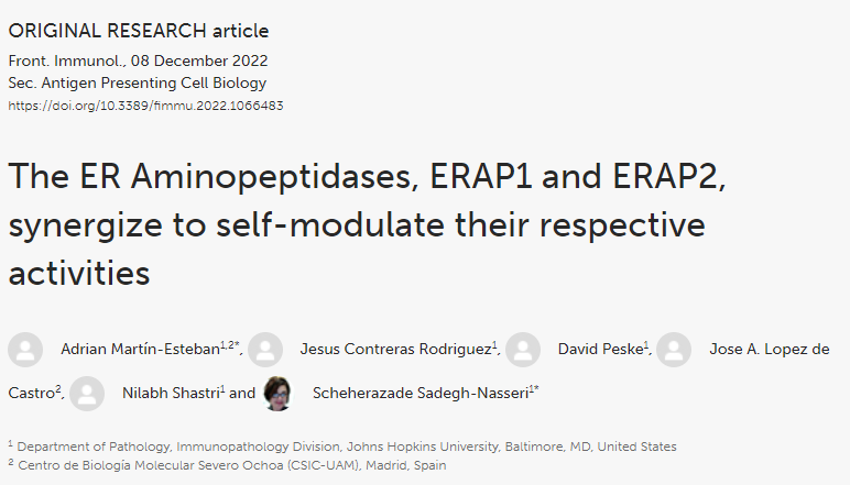 JHPDA's tweet photo. Congratulations Adrian Martin @xar84 for your recent paper!!!!
#ERAminopeptidases #ERAP1 #ERAP2 #AntigenPresentation
https://t.co/te0K42KhgQ https://t.co/nY6BCHP3l2