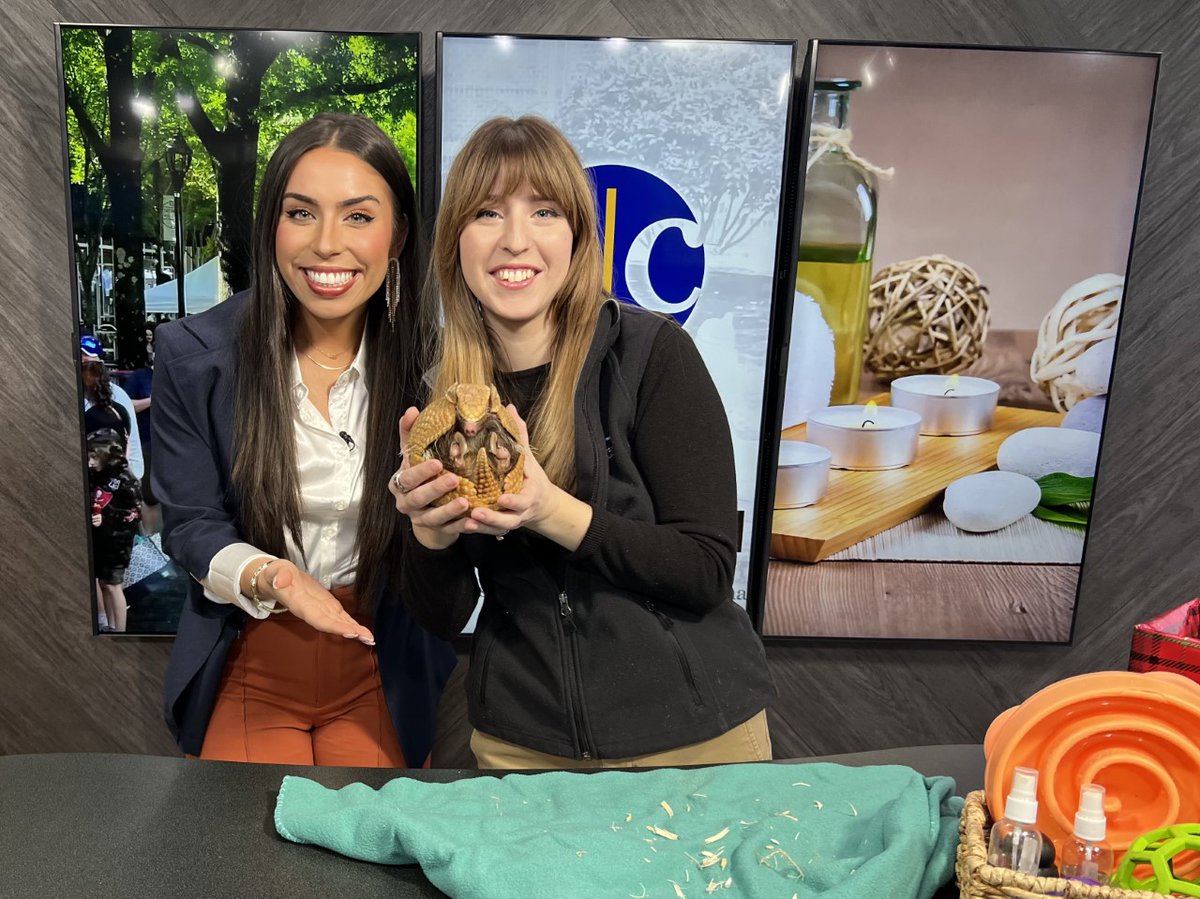 AccessCarolina's tweet photo. Coco returns to the set to share his thoughts on Holidays at the Greenville Zoo, stocking stuffers for the outdoors men or women in your life with a Christmas twist at Cabela's and cheering on the Swamp Rabbits as they face off tonight at 7pm! https://t.co/NmnmGGhsbj