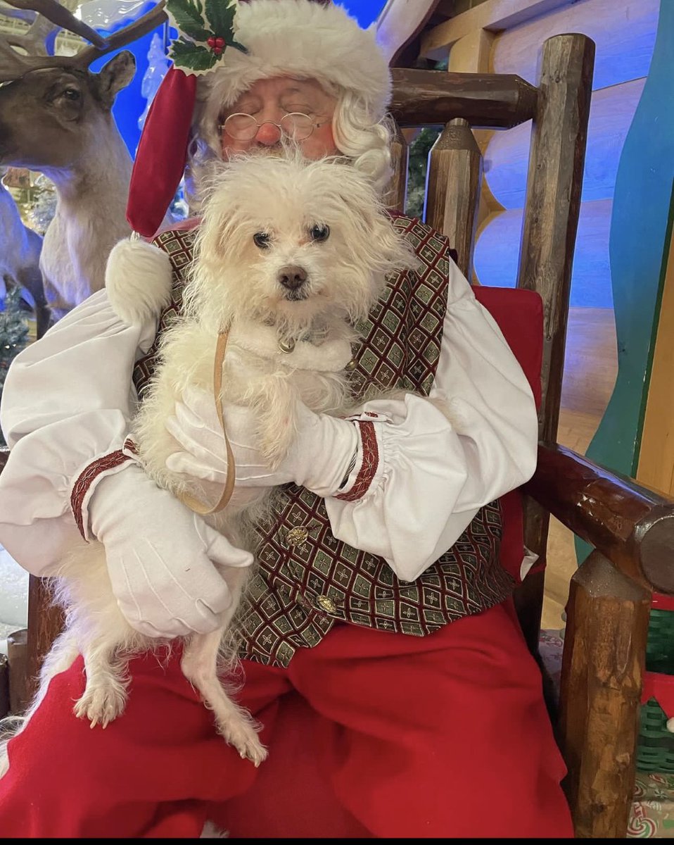 AccessCarolina's tweet photo. Coco returns to the set to share his thoughts on Holidays at the Greenville Zoo, stocking stuffers for the outdoors men or women in your life with a Christmas twist at Cabela's and cheering on the Swamp Rabbits as they face off tonight at 7pm! https://t.co/NmnmGGhsbj