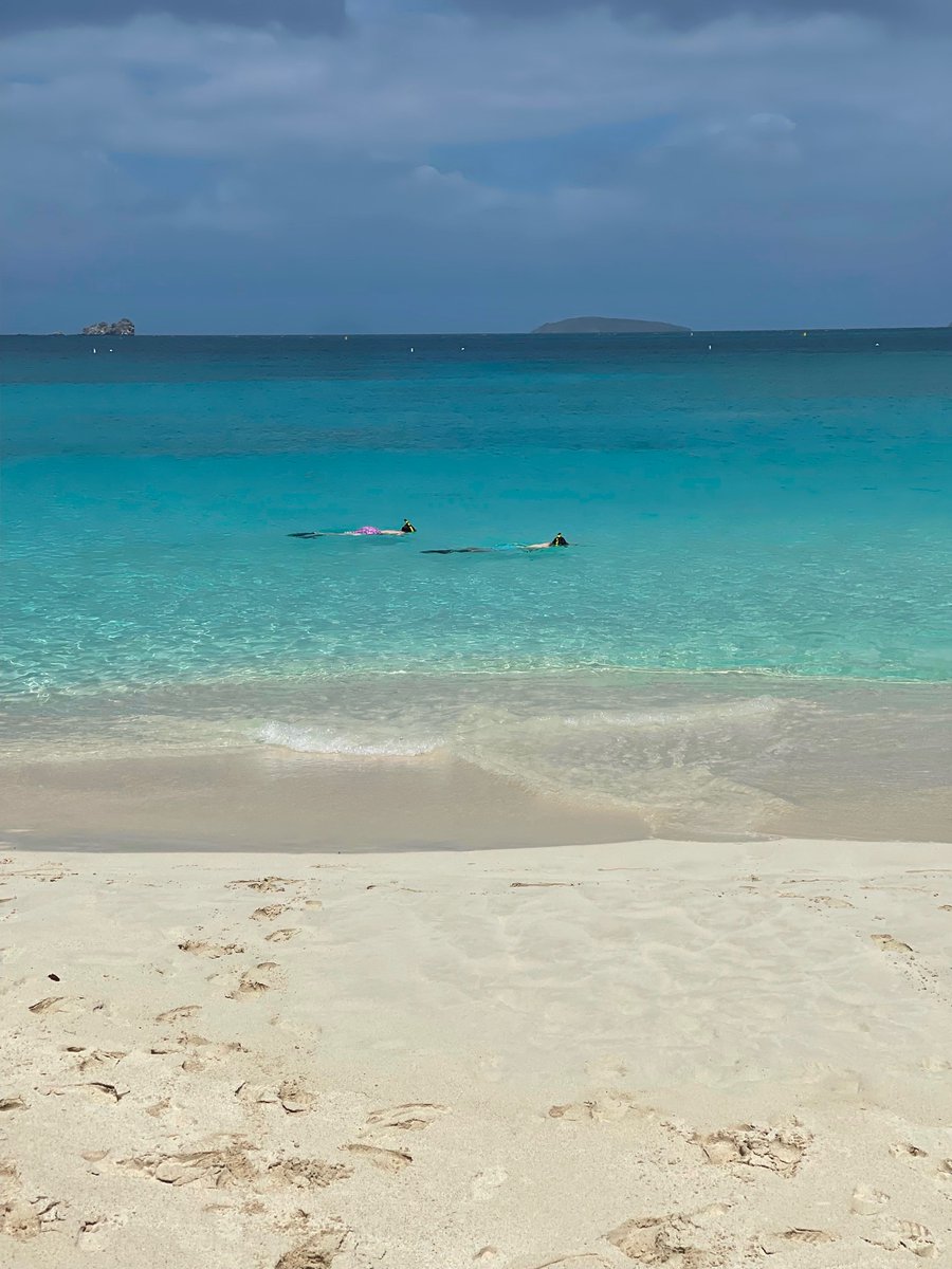 CruzBayRealty's tweet photo. There's a ho-ho-whole lotta fishes to see while snorkeling at Trunk Bay, St. John #USVI https://t.co/sQAo0T2DjU