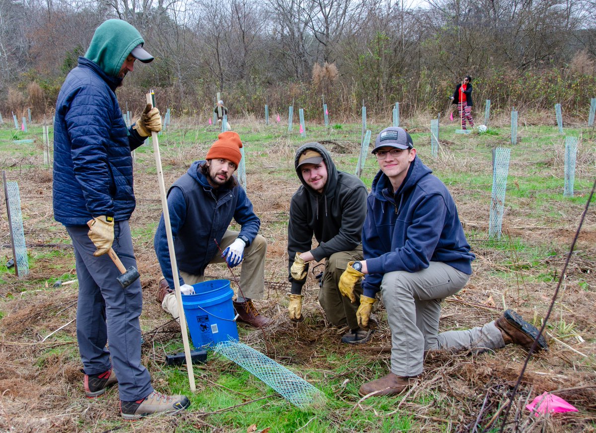 FoothillsOfNC's tweet photo. Thanks to the 40 volunteers who helped plant 300 American Chestnut trees at #OakHillPark yesterday!

We were joined by Latinos Aventureros, @EcoForesters, along with students from @HCCClyde's Forestry program, to plant these trees provided by our friends at @chestnut1904. https://t.co/45ZBQeqDbP