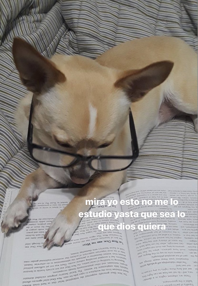 cada vez me pongo a estudiar y veo todo lo que me queda