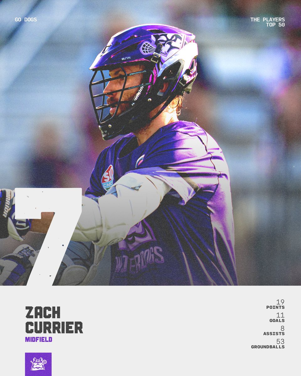 Philadelphia Waterdogs tweet media