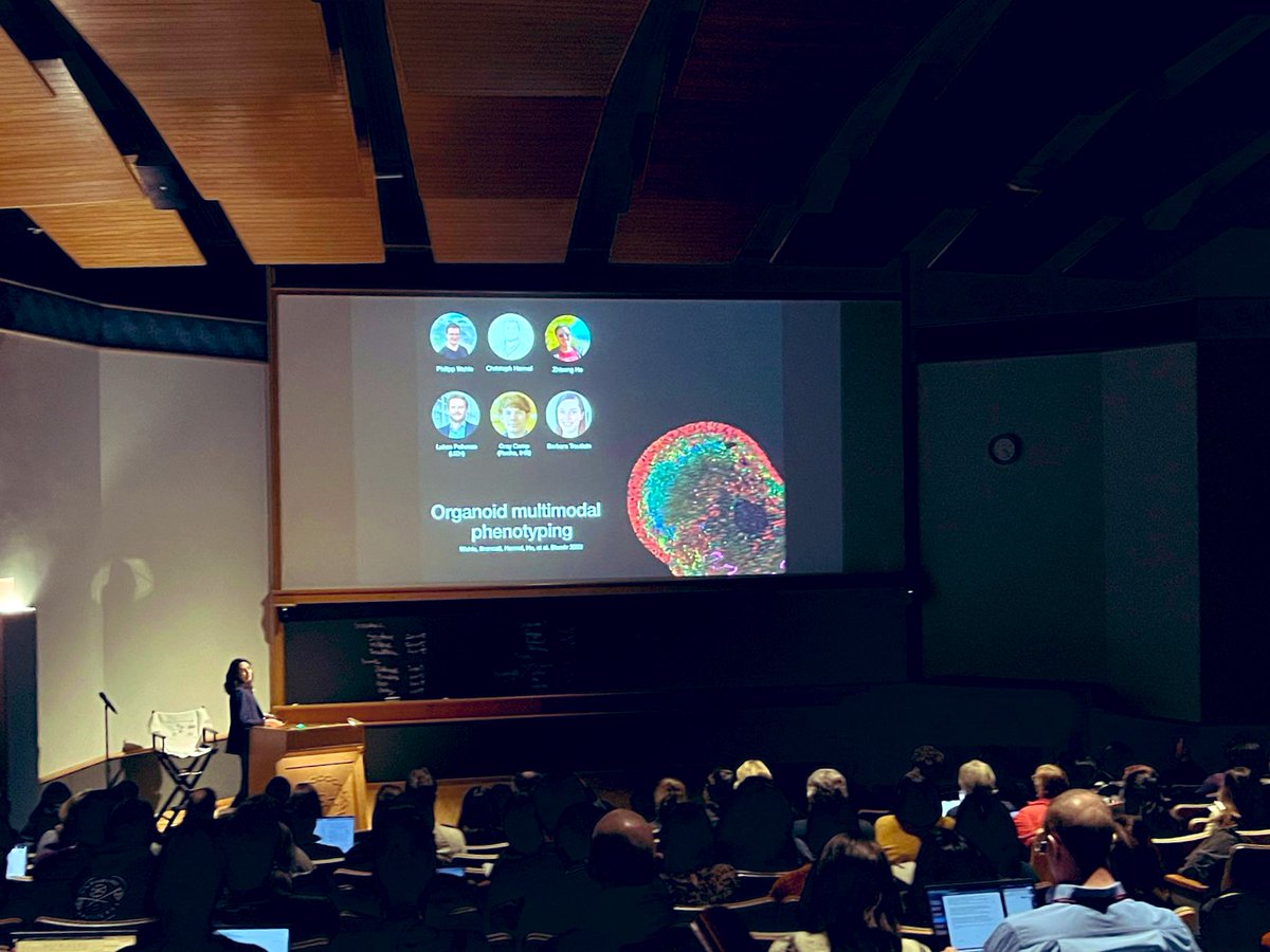 Thank you @UPenn_SongMing & @Sergiu_P_Pasca for organizing a wonderful #cshlbrain meeting! Was great to meet everyone in person and an honor to present our data on #retina #organoids!