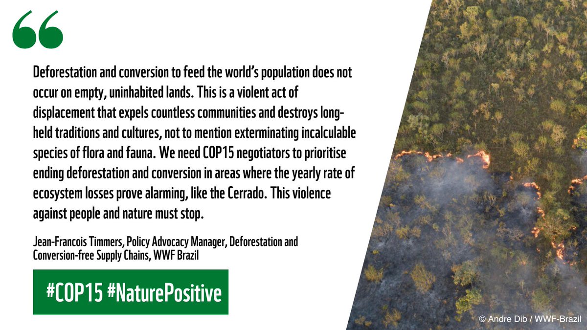 Deforestation in Brazil’s Cerrado reaches a seven-year high😰 This CANNOT be allowed to continue. The destruction of the natural world threatens humanity and wildlife. Countries at #COP15 MUST commit to halt + reverse nature loss by 2030. reuters.com/business/envir… #NaturePositive