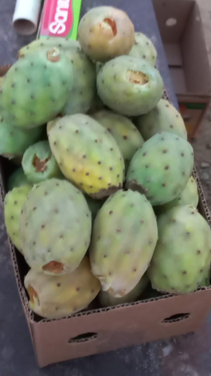 شي جديد اليوم؟ 
هذا ايش تسموه بلهجتكم؟ 😲😋😍