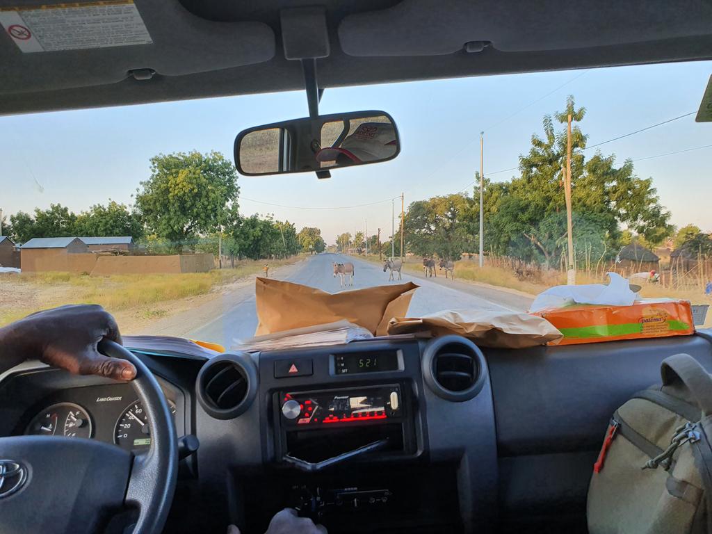 Commune_de_Ndom's tweet photo. Quel dépaysement d'une visibilité reflétée au soleil coucant de sortir à nouveau de #Garoua... 🚗🏜️🚗 Savane, baobab, case traditionnelle, ânes, mayo à sec, champ de coton... Ndom, les pieds sur Garoua-Guider  🐮🚛
https://t.co/mVwQJI5GOv
@Nkowa_ 
@GIZ https://t.co/fIReshaNjX