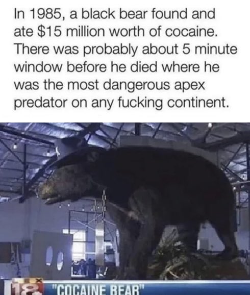 This bear is a legend. Seen a preview for a movie about this. Definitely have to check it out