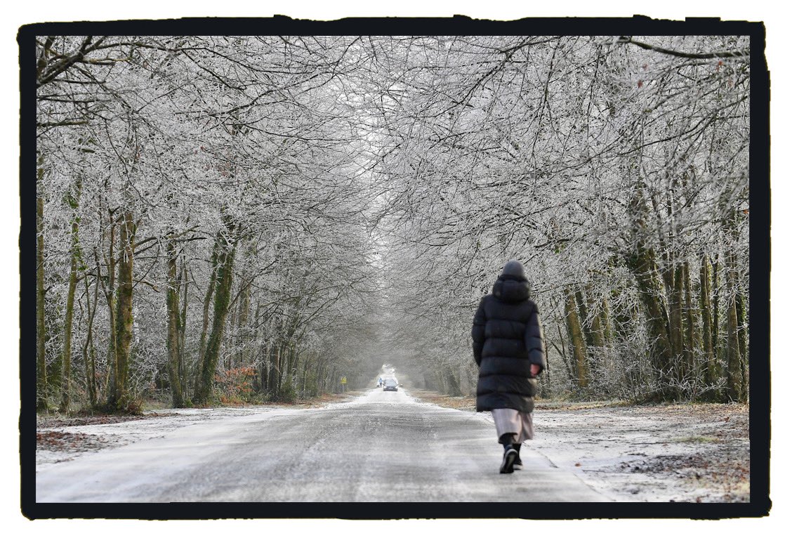 A woman walks along an icy road beneath frozen branches in Tuam. <a href="/MetEireann/">Met Éireann</a> <a href="/TuamHerald/">Tuam Herald</a> #ice #coldweather