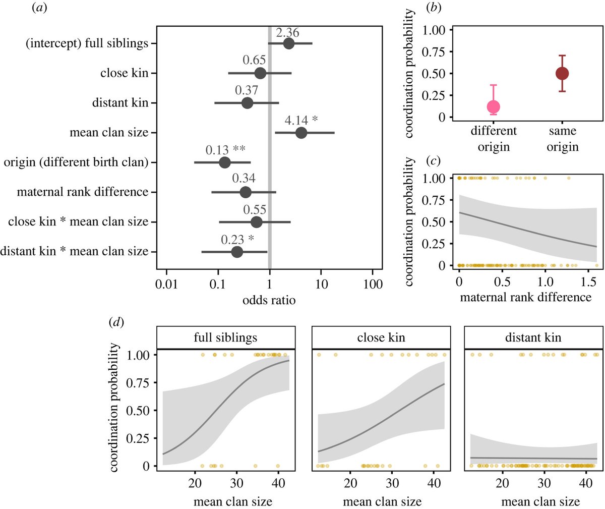 RSocPublishing's tweet photo. New #BiologyLetters paper from @HyenaProject, Kinship and similarity drive coordination of breeding-group choice in male spotted hyenas https://t.co/c75bpNdq2v #EvolutionaryBiology #animalbehaviour #kinselection https://t.co/gNO5NJeAED